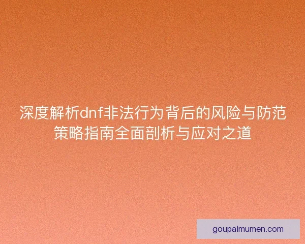 深度解析dnf非法行为背后的风险与防范策略指南全面剖析与应对之道
