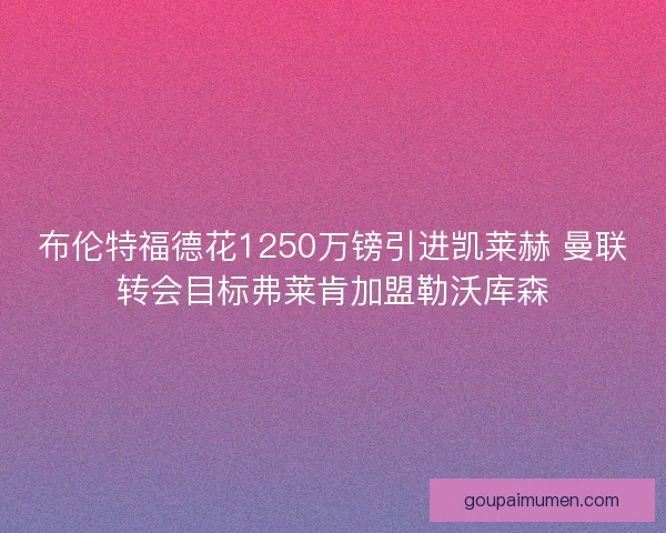 布伦特福德花1250万镑引进凯莱赫 曼联转会目标弗莱肯加盟勒沃库森