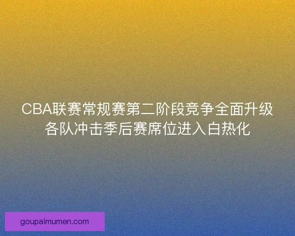 CBA联赛常规赛第二阶段竞争全面升级各队冲击季后赛席位进入白热化