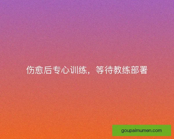 伤愈后专心训练,等待教练部署 伤愈后专心训练,等待教练部署