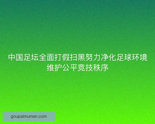中国足坛全面打假扫黑努力净化足球环境维护公平竞技秩序