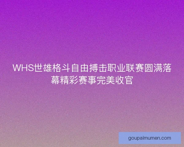 WHS世雄格斗自由搏击职业联赛圆满落幕精彩赛事完美收官